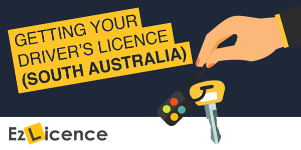 Logbook vs Vort Test: Getting Your Adelaide Driving Licence